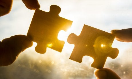Puzzle pieces.