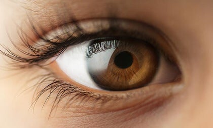 A brown eye.