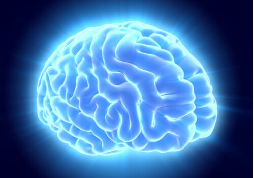 An illuminated brain.