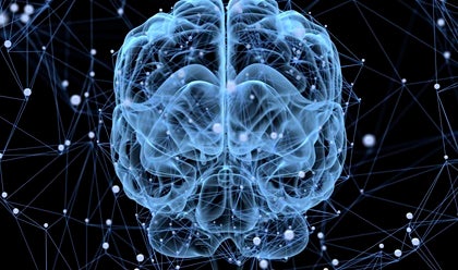 Inside a brain.