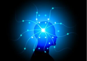 The Theories of Indian Neurologist Vilayanur Ramachandran