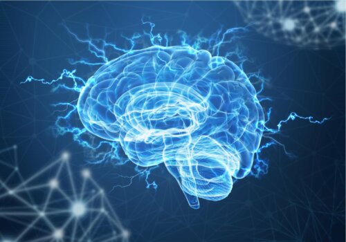 An illuminated brain, representing the relationship between neural plasticity and reading.