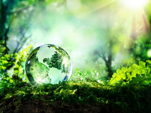 A glass ball of a world.