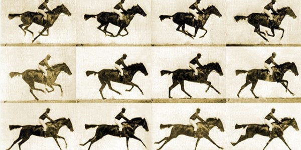 Frames of horses running.
