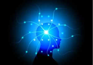 Motor Imagery: A Surprising Hypothesis