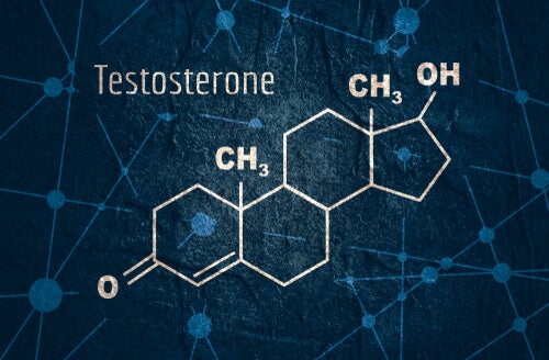 The Characteristics and Functions of Testosterone