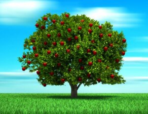 The Parable of the Tree, a Story About Parental Love