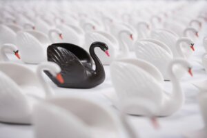 Nassim Taleb and the Black Swan Theory