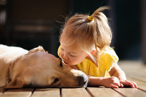 14 Sayings About Our Love for Our Pets