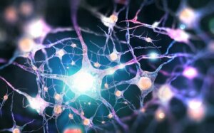The Role of Dynorphins: Opioid Neurotransmitters