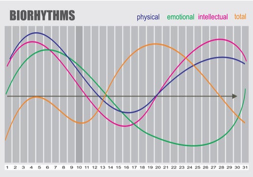 A chart of biorhythms.
