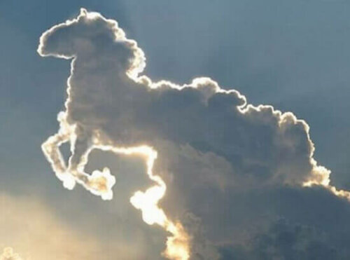 A cloud in the shape of a horse.
