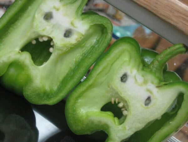 An example of pareidolia.