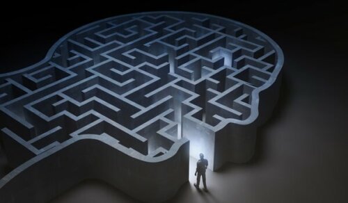 A labyrinth shaped like a head.