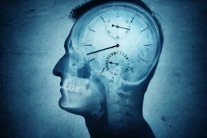 Chronobiology and Its Impact in Humans
