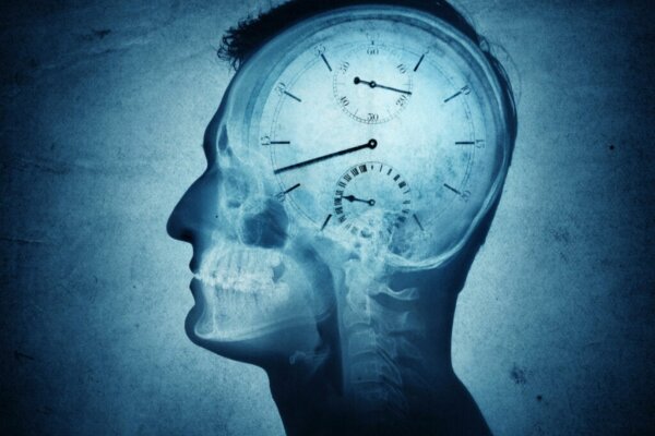 Chronobiology and Its Impact in Humans