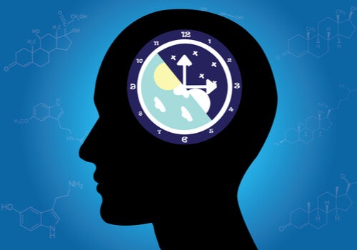 What Circadian Rhythms Are and How They Work