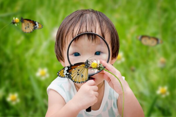 Klein kind kijkt door een vergrootglas naar een vlinder