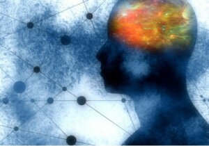 Three Striking Functions of Mirror Neurons