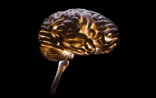 Neurocriminology, the Understanding of Criminality - Exploring your mind
