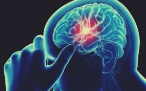 A Lack of Vitamin B12 Can Cause Cognitive Decline