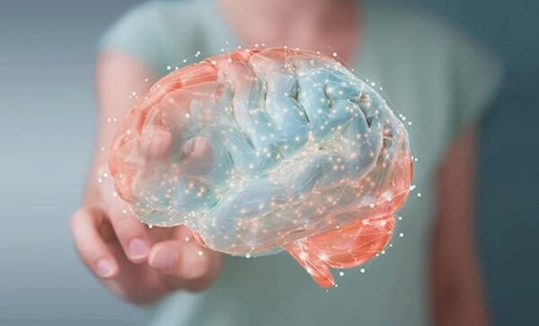 Endocannabinoids, the Marijuana of Your Brain