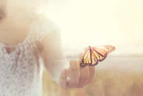 A person trying to touch a butterfly.