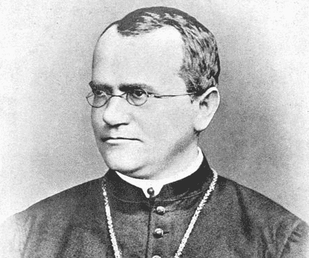 Gregor Mendel.