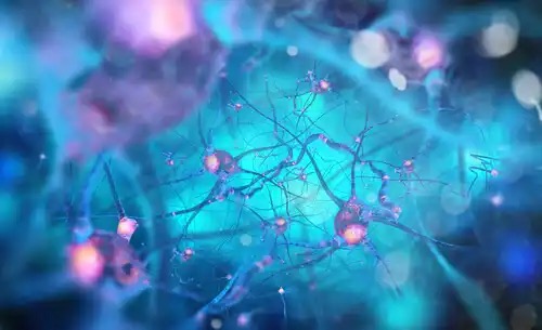 Neurale netwerken