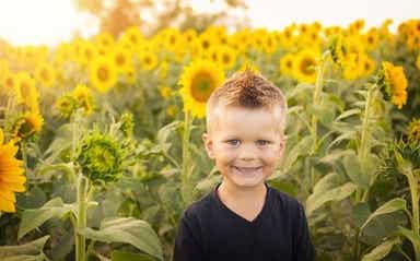 A child in a sunflower field.