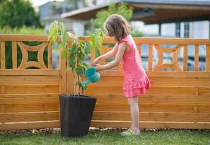 Watering plants is one of the appropriate chores for kids..