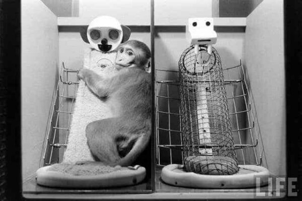 A monkey hugging a cylinder.