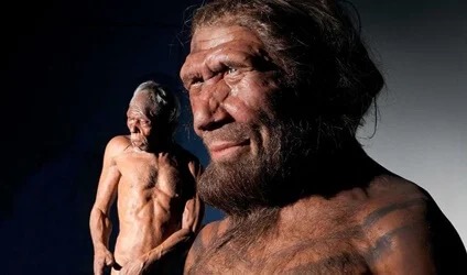 Neanderthals Had a Sense of Compassion - Exploring your mind