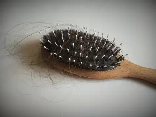 Hair on a brush, showing hair loss.