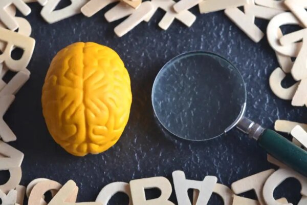 A brain and a magnifying glass.