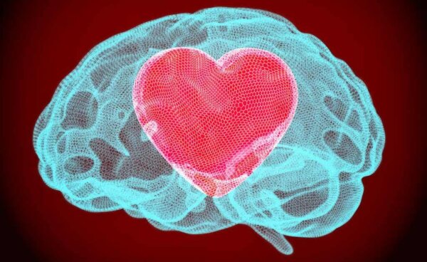 Kognitive Freundlichkeit fördert das Zusammenleben und die Gehirngesundheit 