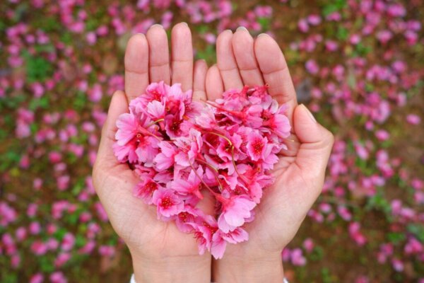 Cognitive Kindness as a Psychological Commitment