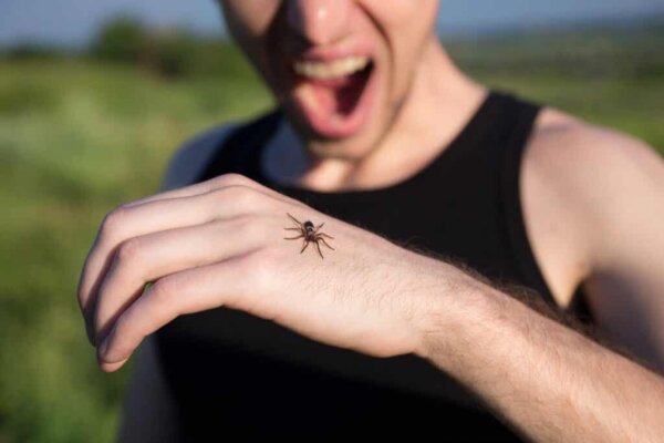 Preparedness theory: a person panicking due to an itsy bitsy spider.