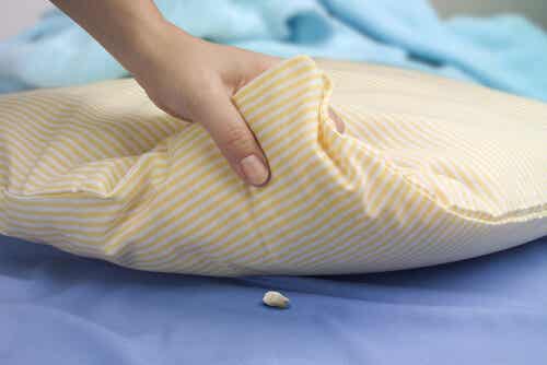 A tooth under a pillow.