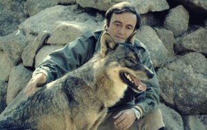 Félix Rodríguez de la Fuente, TV Environmentalist Extraordinaire