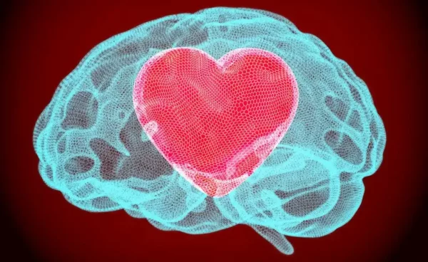En hjerne med et hjerte inne, som antyder den synestetiske hjernen.
