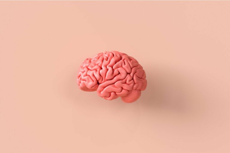 Neuroethics, A Fascinating Look at the Brain and Moral Behaviors