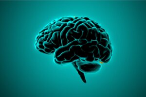 What Neuroscience Says About the Brains of Violent People