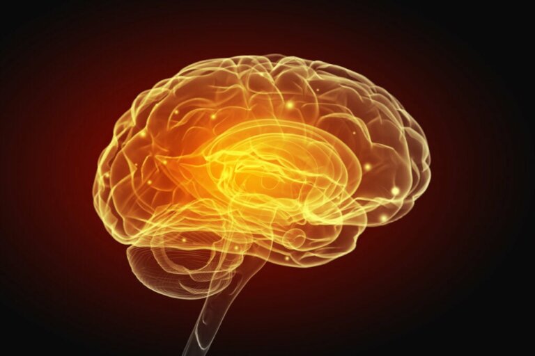 Selfish and Generous Behaviors Change the Function of the Brain