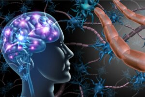 The Differences Between Multiple Sclerosis and ALS