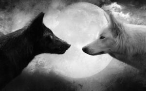 The Differences Between Constructive and Destructive Criticism