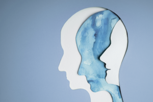 Euthymia in Bipolar Disorder: the Calm After the Storm