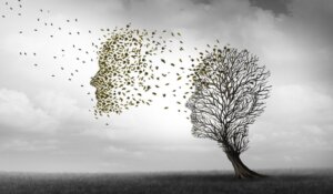 The Differences Between Alzheimer's and Dementia