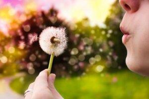Project From the Present Into The Future To Make Your Dreams Come True
