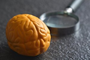 Why Does The Brain Have Two Hemispheres?